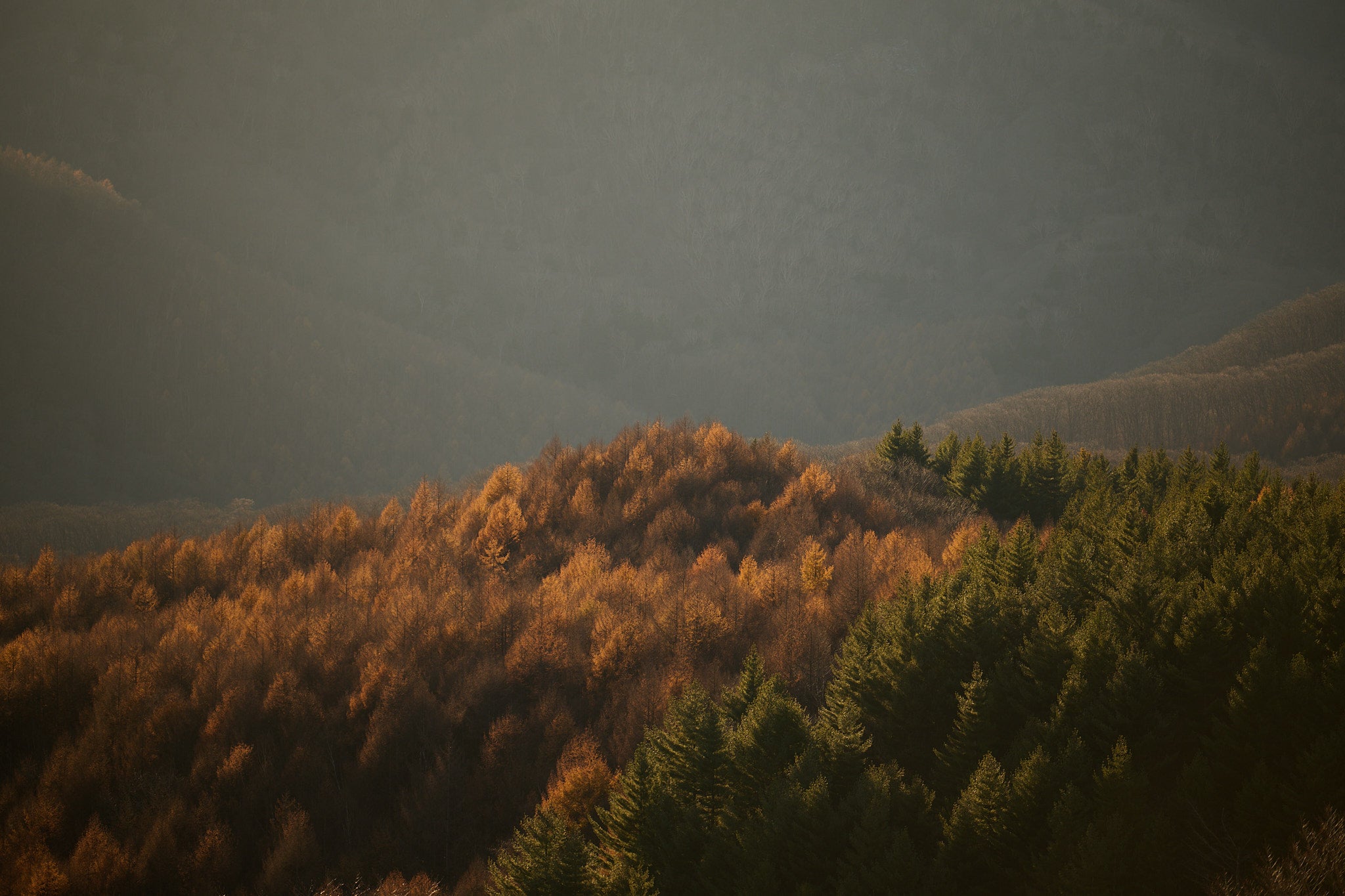 undefined GIFT CARD — 小さな時間を贈る