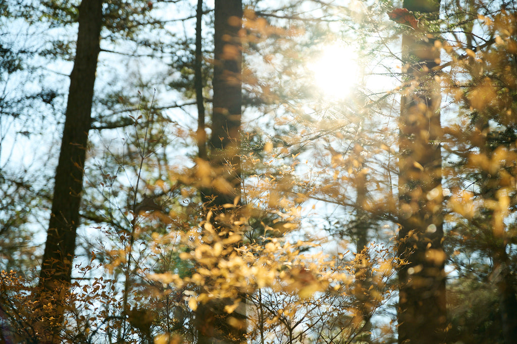 SILENT 150g｜音のない時間を過ごしたいときに
