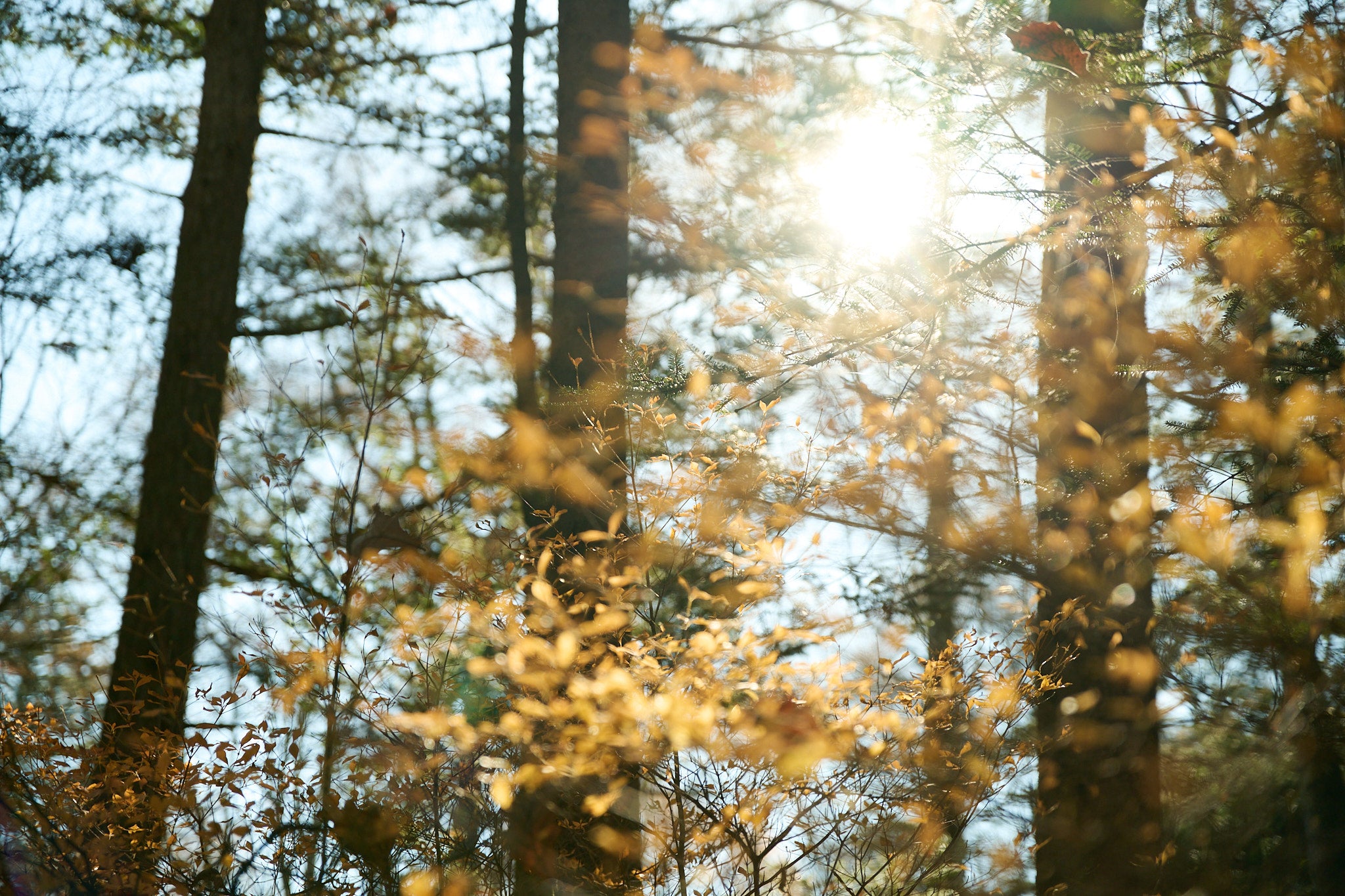 SILENT 150g｜音のない時間を過ごしたいときに
